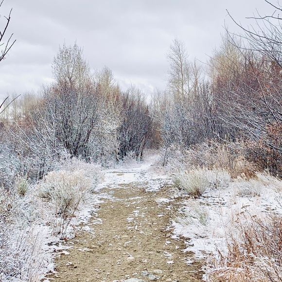 Meet your Posher, Mckenzie - Picture 1 of 1